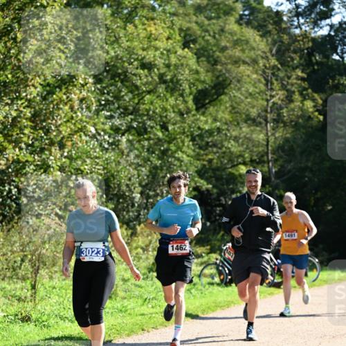 27.09.2026 - 35. Volkslauf durch das schöne Alstertal Dr. Thomas Lammeyer http://msf.ph/oto/10576418 27.09.2026 11:44:07 Laufen 1462, 3023, 183, 1491 meine-sportfotos.de