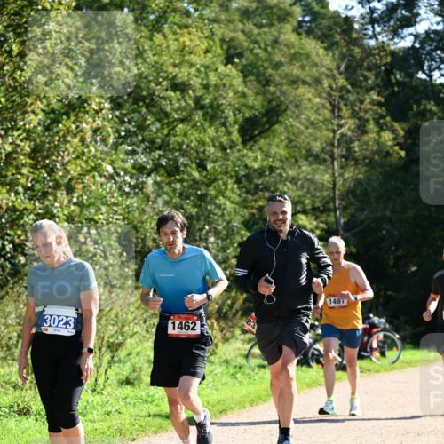 27.09.2026 - 35. Volkslauf durch das schöne Alstertal Dr. Thomas Lammeyer http://msf.ph/oto/10576424 27.09.2026 11:44:08 Laufen 3023, 1462, 83, 1491 meine-sportfotos.de