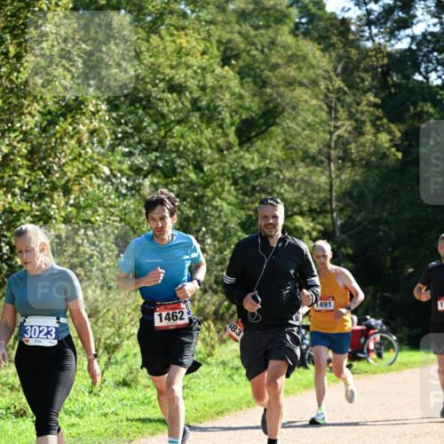 27.09.2026 - 35. Volkslauf durch das schöne Alstertal Dr. Thomas Lammeyer http://msf.ph/oto/10576425 27.09.2026 11:44:08 Laufen 3023, 1462, 83, 1491 meine-sportfotos.de