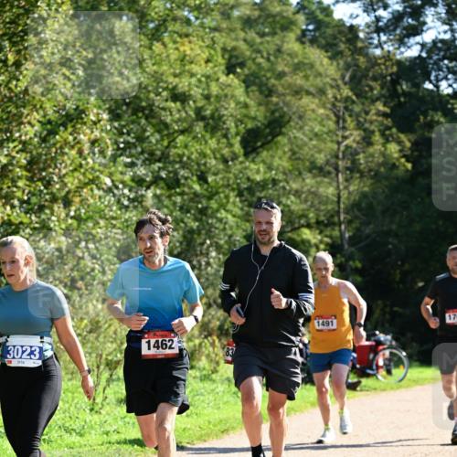 27.09.2026 - 35. Volkslauf durch das schöne Alstertal Dr. Thomas Lammeyer http://msf.ph/oto/10576426 27.09.2026 11:44:08 Laufen 3023, 1462, 83, 1491, 170 meine-sportfotos.de