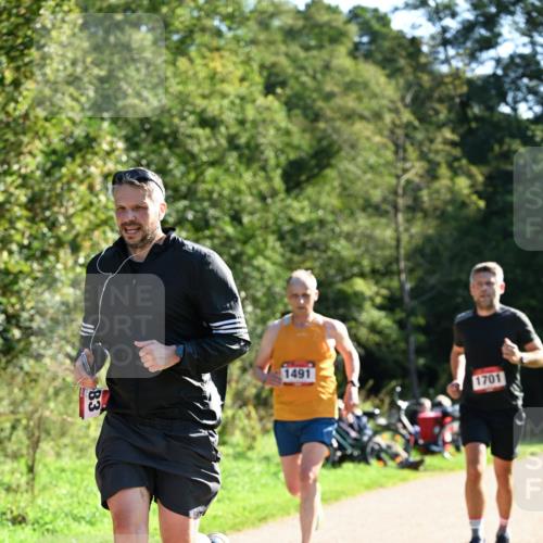 27.09.2026 - 35. Volkslauf durch das schöne Alstertal Dr. Thomas Lammeyer http://msf.ph/oto/10576435 27.09.2026 11:44:09 Laufen 83, 1491, 1701 meine-sportfotos.de