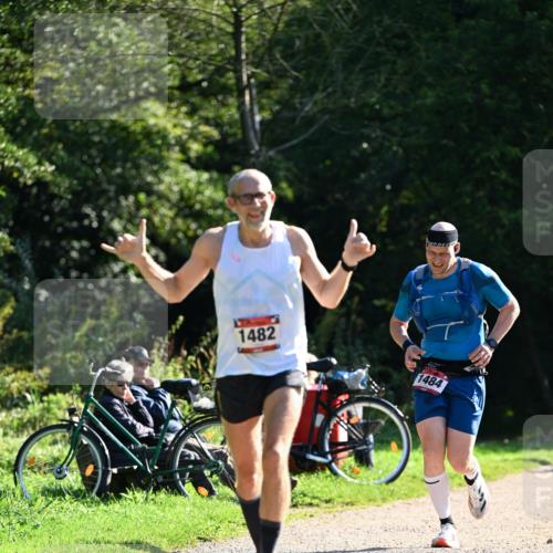 27.09.2026 - 35. Volkslauf durch das schöne Alstertal Dr. Thomas Lammeyer http://msf.ph/oto/10576466 27.09.2026 11:44:31 Laufen 1482, 1484 meine-sportfotos.de