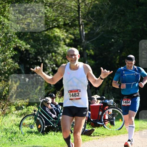 27.09.2026 - 35. Volkslauf durch das schöne Alstertal Dr. Thomas Lammeyer http://msf.ph/oto/10576469 27.09.2026 11:44:31 Laufen 1482, 1484 meine-sportfotos.de