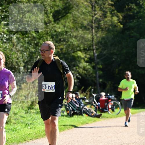27.09.2026 - 35. Volkslauf durch das schöne Alstertal Dr. Thomas Lammeyer http://msf.ph/oto/10576504 27.09.2026 11:44:44 Laufen 3075 meine-sportfotos.de