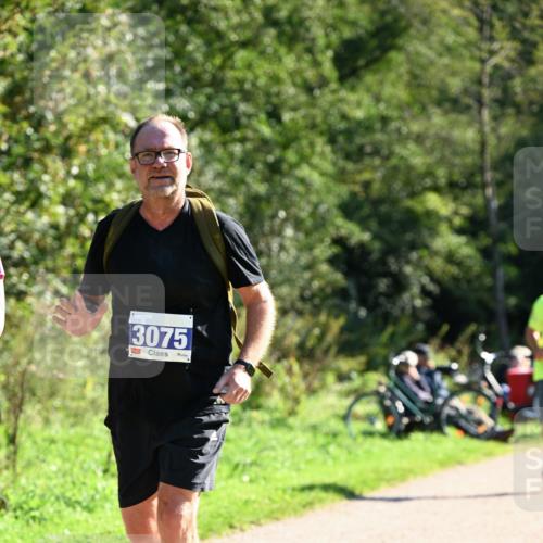 27.09.2026 - 35. Volkslauf durch das schöne Alstertal Dr. Thomas Lammeyer http://msf.ph/oto/10576513 27.09.2026 11:44:44 Laufen 3075 meine-sportfotos.de