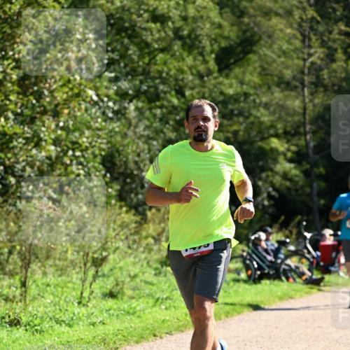 27.09.2026 - 35. Volkslauf durch das schöne Alstertal Dr. Thomas Lammeyer http://msf.ph/oto/10576521 27.09.2026 11:44:47 Laufen  meine-sportfotos.de