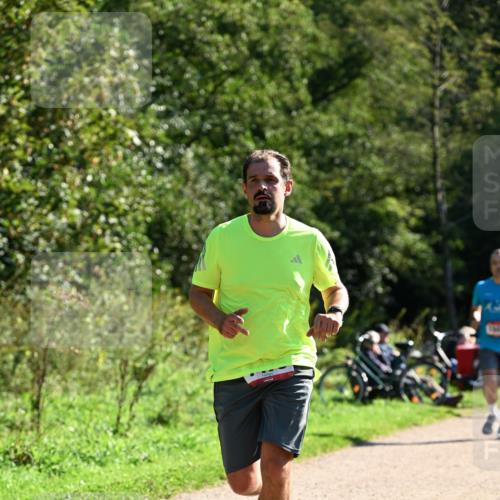 27.09.2026 - 35. Volkslauf durch das schöne Alstertal Dr. Thomas Lammeyer http://msf.ph/oto/10576522 27.09.2026 11:44:47 Laufen  meine-sportfotos.de