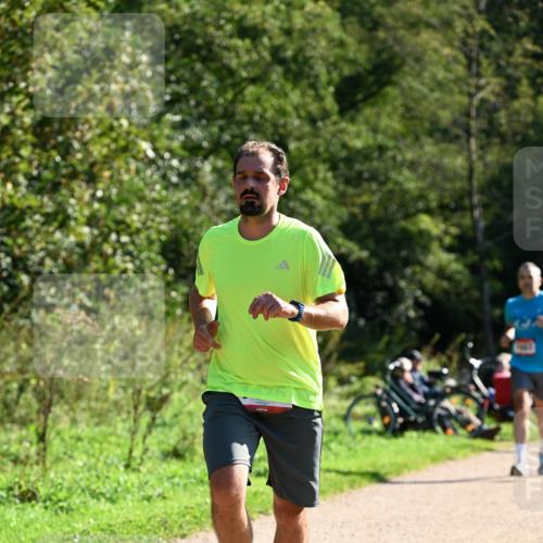27.09.2026 - 35. Volkslauf durch das schöne Alstertal Dr. Thomas Lammeyer http://msf.ph/oto/10576524 27.09.2026 11:44:48 Laufen  meine-sportfotos.de