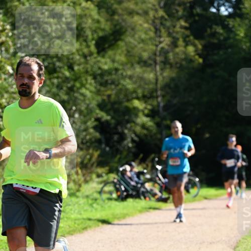 27.09.2026 - 35. Volkslauf durch das schöne Alstertal Dr. Thomas Lammeyer http://msf.ph/oto/10576527 27.09.2026 11:44:48 Laufen  meine-sportfotos.de