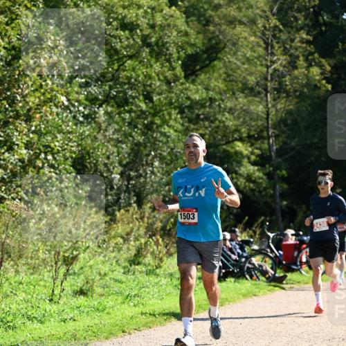 27.09.2026 - 35. Volkslauf durch das schöne Alstertal Dr. Thomas Lammeyer http://msf.ph/oto/10576529 27.09.2026 11:44:50 Laufen 1503, 2438 meine-sportfotos.de
