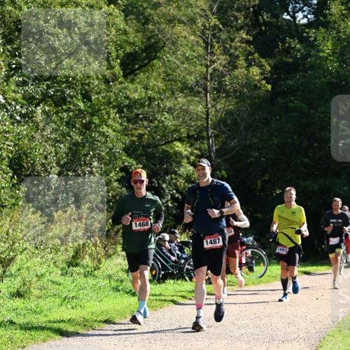 27.09.2026 - 35. Volkslauf durch das schöne Alstertal Dr. Thomas Lammeyer http://msf.ph/oto/10576555 27.09.2026 11:44:53 Laufen 1468, 1487, 1493 meine-sportfotos.de