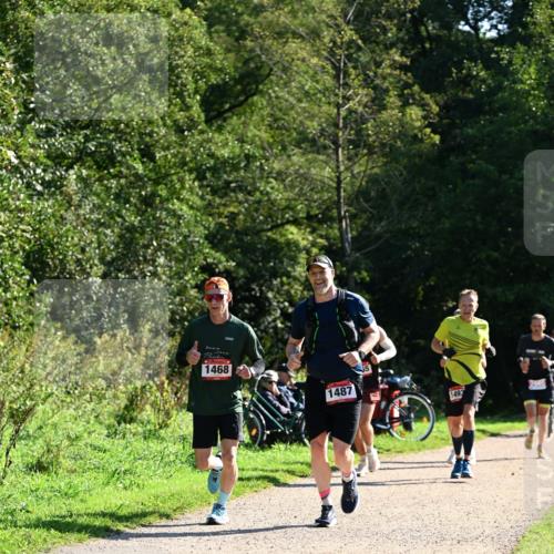 27.09.2026 - 35. Volkslauf durch das schöne Alstertal Dr. Thomas Lammeyer http://msf.ph/oto/10576556 27.09.2026 11:44:53 Laufen 1468, 1487, 1493 meine-sportfotos.de
