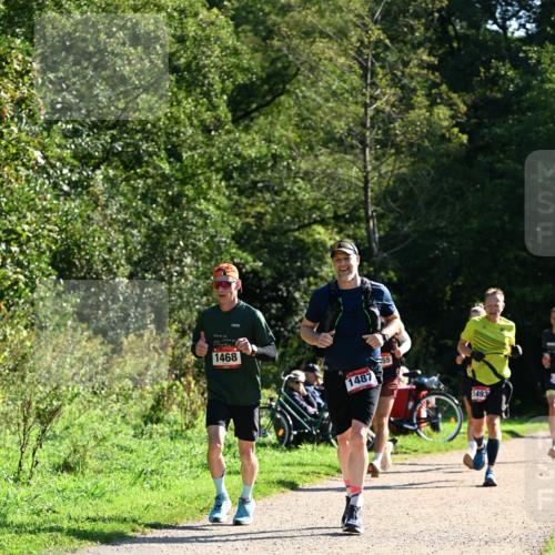 27.09.2026 - 35. Volkslauf durch das schöne Alstertal Dr. Thomas Lammeyer http://msf.ph/oto/10576558 27.09.2026 11:44:53 Laufen 1468, 1487, 1493 meine-sportfotos.de