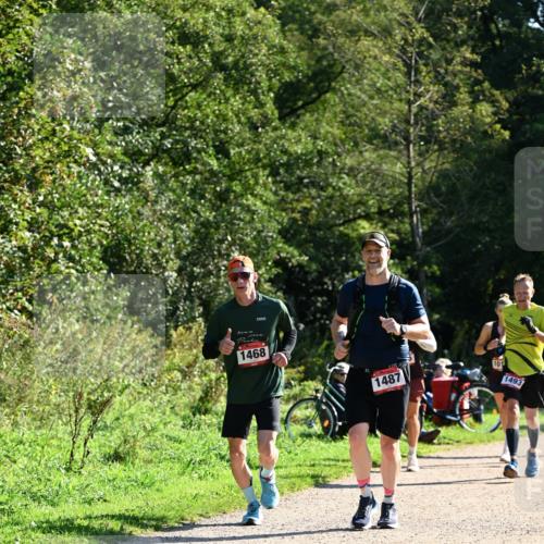 27.09.2026 - 35. Volkslauf durch das schöne Alstertal Dr. Thomas Lammeyer http://msf.ph/oto/10576560 27.09.2026 11:44:54 Laufen 1468, 1487, 101, 1493 meine-sportfotos.de