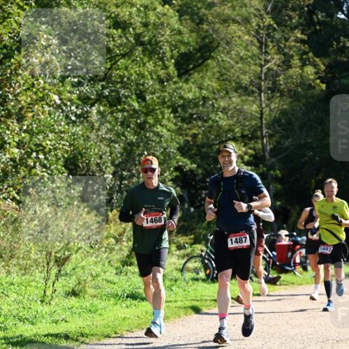 27.09.2026 - 35. Volkslauf durch das schöne Alstertal Dr. Thomas Lammeyer http://msf.ph/oto/10576562 27.09.2026 11:44:54 Laufen 1468, 1487, 1493 meine-sportfotos.de