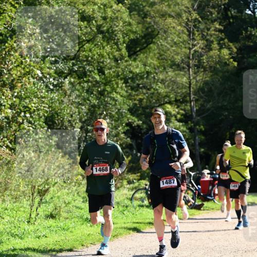 27.09.2026 - 35. Volkslauf durch das schöne Alstertal Dr. Thomas Lammeyer http://msf.ph/oto/10576564 27.09.2026 11:44:54 Laufen 1468, 1487, 1018, 1493 meine-sportfotos.de