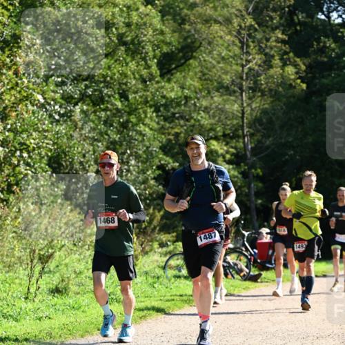 27.09.2026 - 35. Volkslauf durch das schöne Alstertal Dr. Thomas Lammeyer http://msf.ph/oto/10576565 27.09.2026 11:44:54 Laufen 1468, 1487, 1018, 1493 meine-sportfotos.de