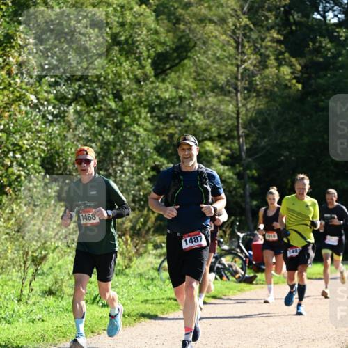 27.09.2026 - 35. Volkslauf durch das schöne Alstertal Dr. Thomas Lammeyer http://msf.ph/oto/10576566 27.09.2026 11:44:54 Laufen 1468, 1487, 1018, 1493 meine-sportfotos.de