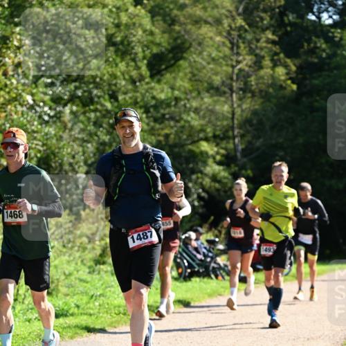 27.09.2026 - 35. Volkslauf durch das schöne Alstertal Dr. Thomas Lammeyer http://msf.ph/oto/10576572 27.09.2026 11:44:55 Laufen 1468, 1487, 455, 1493 meine-sportfotos.de