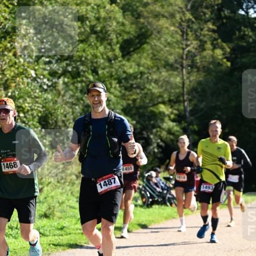 27.09.2026 - 35. Volkslauf durch das schöne Alstertal Dr. Thomas Lammeyer http://msf.ph/oto/10576573 27.09.2026 11:44:55 Laufen 1468, 1455, 1487, 1018, 1493 meine-sportfotos.de