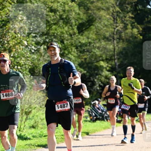 27.09.2026 - 35. Volkslauf durch das schöne Alstertal Dr. Thomas Lammeyer http://msf.ph/oto/10576574 27.09.2026 11:44:55 Laufen 1468, 1487, 1455, 1493 meine-sportfotos.de