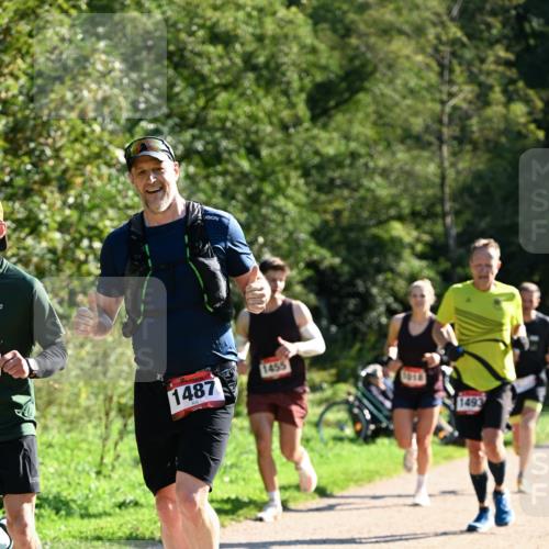 27.09.2026 - 35. Volkslauf durch das schöne Alstertal Dr. Thomas Lammeyer http://msf.ph/oto/10576579 27.09.2026 11:44:55 Laufen 1487, 1455, 1493 meine-sportfotos.de