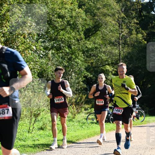 27.09.2026 - 35. Volkslauf durch das schöne Alstertal Dr. Thomas Lammeyer http://msf.ph/oto/10576582 27.09.2026 11:44:56 Laufen 1455, 487, 1018, 1493 meine-sportfotos.de