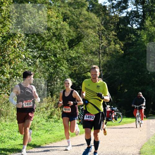 27.09.2026 - 35. Volkslauf durch das schöne Alstertal Dr. Thomas Lammeyer http://msf.ph/oto/10576588 27.09.2026 11:44:56 Laufen 1455, 1018, 1493 meine-sportfotos.de