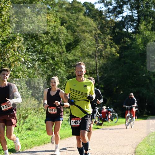 27.09.2026 - 35. Volkslauf durch das schöne Alstertal Dr. Thomas Lammeyer http://msf.ph/oto/10576590 27.09.2026 11:44:57 Laufen 1456, 1018, 1493 meine-sportfotos.de