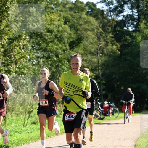 27.09.2026 - 35. Volkslauf durch das schöne Alstertal Dr. Thomas Lammeyer http://msf.ph/oto/10576594 27.09.2026 11:44:57 Laufen 1018, 1493, 80 meine-sportfotos.de