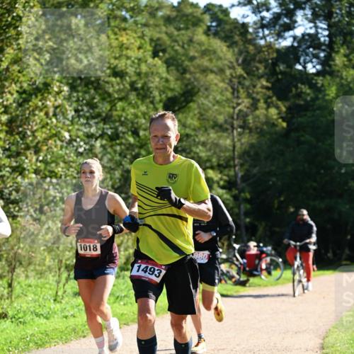 27.09.2026 - 35. Volkslauf durch das schöne Alstertal Dr. Thomas Lammeyer http://msf.ph/oto/10576595 27.09.2026 11:44:57 Laufen 1018, 1493 meine-sportfotos.de