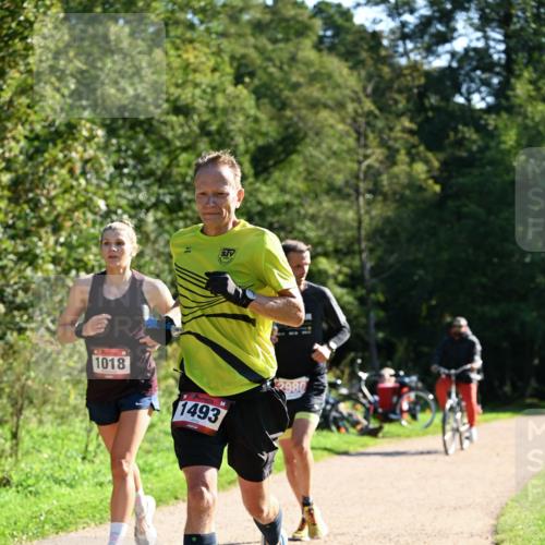27.09.2026 - 35. Volkslauf durch das schöne Alstertal Dr. Thomas Lammeyer http://msf.ph/oto/10576596 27.09.2026 11:44:57 Laufen 1018, 1493, 2980 meine-sportfotos.de