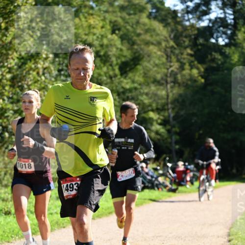 27.09.2026 - 35. Volkslauf durch das schöne Alstertal Dr. Thomas Lammeyer http://msf.ph/oto/10576598 27.09.2026 11:44:58 Laufen 1018, 493, 2980 meine-sportfotos.de