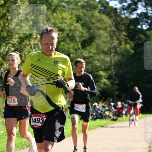 27.09.2026 - 35. Volkslauf durch das schöne Alstertal Dr. Thomas Lammeyer http://msf.ph/oto/10576600 27.09.2026 11:44:58 Laufen 1018, 1493, 2980 meine-sportfotos.de