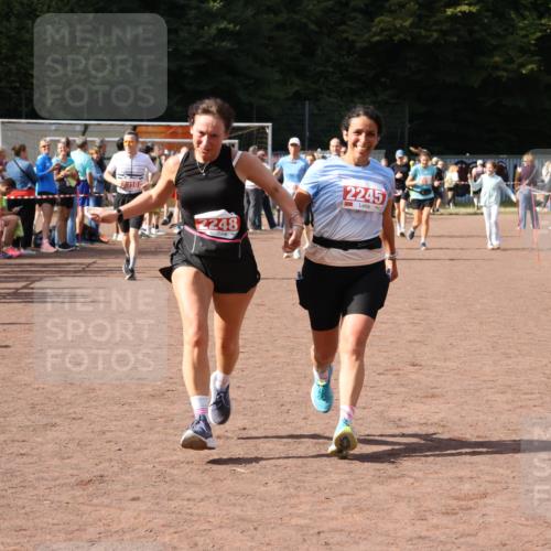 27.09.2026 - 35. Volkslauf durch das schöne Alstertal Strokosch-Dieckow http://msf.ph/oto/10576673 27.09.2026 12:31:09 Ziel 2012, 2013, 2245, 2248, 2310 meine-sportfotos.de