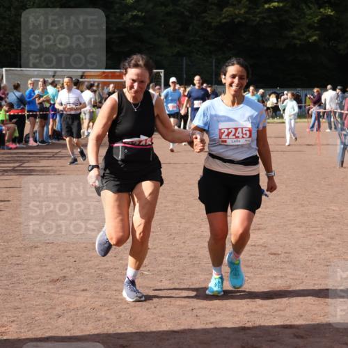 27.09.2026 - 35. Volkslauf durch das schöne Alstertal Strokosch-Dieckow http://msf.ph/oto/10576724 27.09.2026 12:31:09 Ziel 2012, 2013, 2245, 2248, 2310 meine-sportfotos.de
