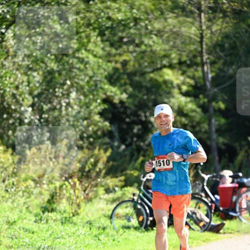27.09.2026 - 35. Volkslauf durch das schöne Alstertal Dr. Thomas Lammeyer http://msf.ph/oto/10576727 27.09.2026 11:46:11 Laufen 1510 meine-sportfotos.de