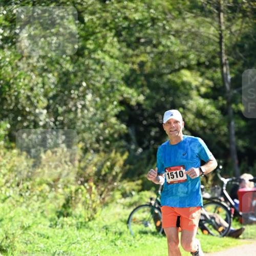 27.09.2026 - 35. Volkslauf durch das schöne Alstertal Dr. Thomas Lammeyer http://msf.ph/oto/10576728 27.09.2026 11:46:11 Laufen 1510 meine-sportfotos.de