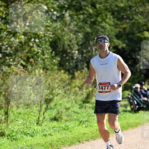 27.09.2026 - 35. Volkslauf durch das schöne Alstertal Dr. Thomas Lammeyer http://msf.ph/oto/10576734 27.09.2026 11:46:18 Laufen 14772 meine-sportfotos.de