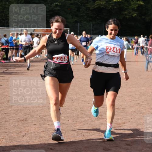 27.09.2026 - 35. Volkslauf durch das schöne Alstertal Strokosch-Dieckow http://msf.ph/oto/10576747 27.09.2026 12:31:09 Ziel 2012, 2013, 2245, 2248, 2310 meine-sportfotos.de