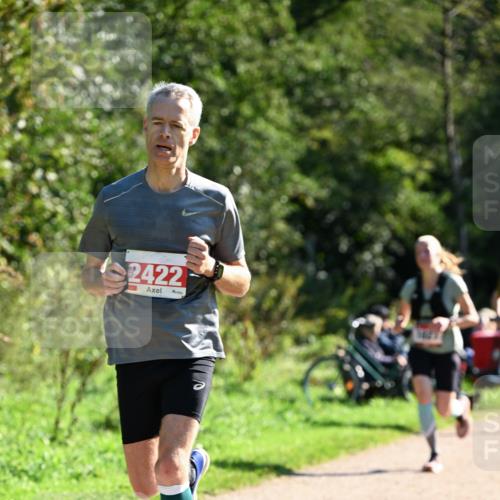 27.09.2026 - 35. Volkslauf durch das schöne Alstertal Dr. Thomas Lammeyer http://msf.ph/oto/10576757 27.09.2026 11:46:28 Laufen 2422 meine-sportfotos.de