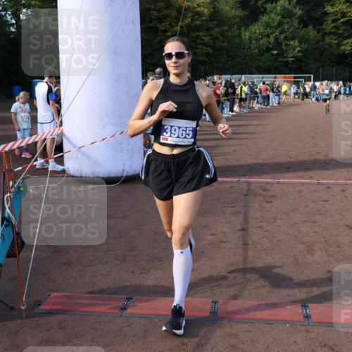 27.09.2026 - 35. Volkslauf durch das schöne Alstertal Strokosch-Dieckow http://msf.ph/oto/10576758 27.09.2026 11:19:51 Ziel 3057, 3343, 3964, 3965, 4084 meine-sportfotos.de