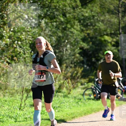 27.09.2026 - 35. Volkslauf durch das schöne Alstertal Dr. Thomas Lammeyer http://msf.ph/oto/10576771 27.09.2026 11:46:30 Laufen 1027 meine-sportfotos.de