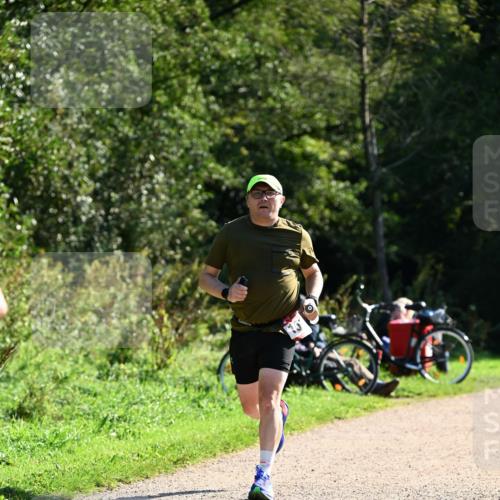 27.09.2026 - 35. Volkslauf durch das schöne Alstertal Dr. Thomas Lammeyer http://msf.ph/oto/10576773 27.09.2026 11:46:30 Laufen  meine-sportfotos.de