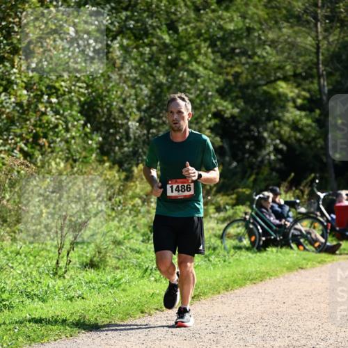 27.09.2026 - 35. Volkslauf durch das schöne Alstertal Dr. Thomas Lammeyer http://msf.ph/oto/10576787 27.09.2026 11:46:44 Laufen 1486 meine-sportfotos.de