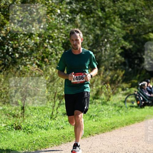27.09.2026 - 35. Volkslauf durch das schöne Alstertal Dr. Thomas Lammeyer http://msf.ph/oto/10576794 27.09.2026 11:46:45 Laufen 486 meine-sportfotos.de