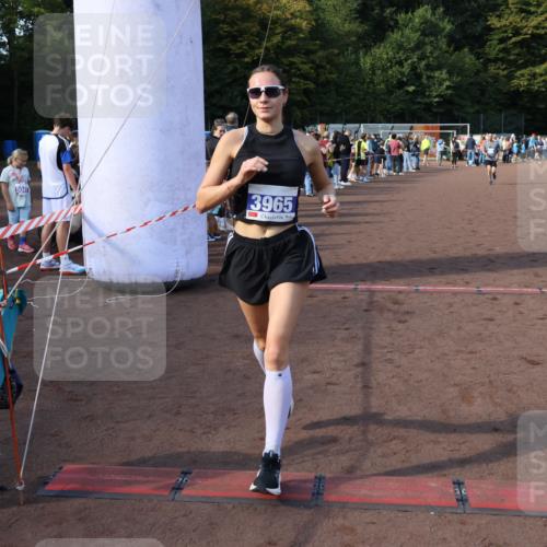 27.09.2026 - 35. Volkslauf durch das schöne Alstertal Strokosch-Dieckow http://msf.ph/oto/10576805 27.09.2026 11:19:51 Ziel 3057, 3343, 3964, 3965, 4084 meine-sportfotos.de