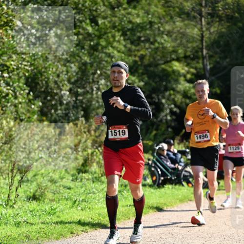 27.09.2026 - 35. Volkslauf durch das schöne Alstertal Dr. Thomas Lammeyer http://msf.ph/oto/10576806 27.09.2026 11:46:50 Laufen 1519, 1496, 1129 meine-sportfotos.de