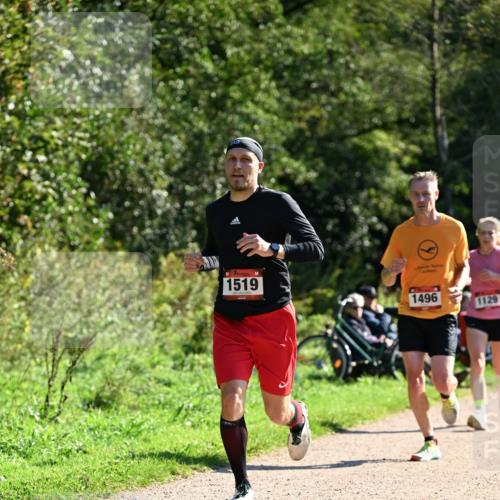 27.09.2026 - 35. Volkslauf durch das schöne Alstertal Dr. Thomas Lammeyer http://msf.ph/oto/10576807 27.09.2026 11:46:50 Laufen 1519, 1496, 1129 meine-sportfotos.de