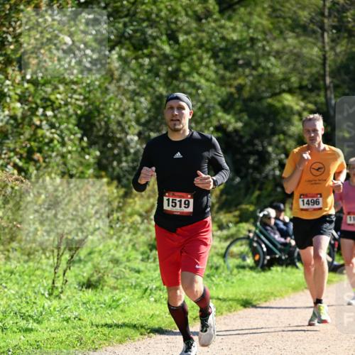 27.09.2026 - 35. Volkslauf durch das schöne Alstertal Dr. Thomas Lammeyer http://msf.ph/oto/10576808 27.09.2026 11:46:50 Laufen 1519, 1496 meine-sportfotos.de